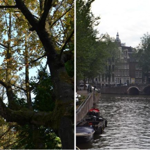 Viagem a Amesterdão + Scones de maçã