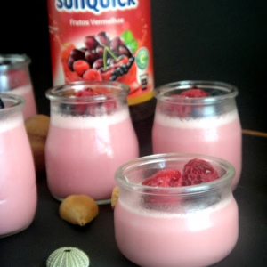 Potinhos de iogurte e Sunquick