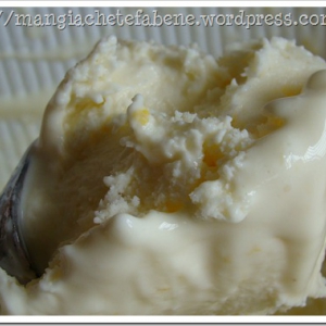 Frozen Yogurt de Limão Siciliano, a variação com Poejo e meu amor por essa receita!