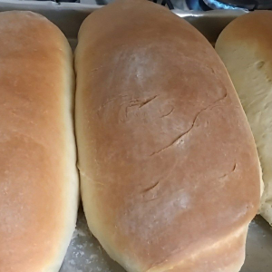 Usando apenas 1 quilo de farinha de trigo fiz 3 unidades de pão caseiro da melhor qualidade