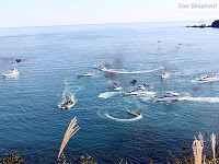 Sea Shepherd faz oferta para a China para proteger a fauna marinha nas ilhas Diaoyu