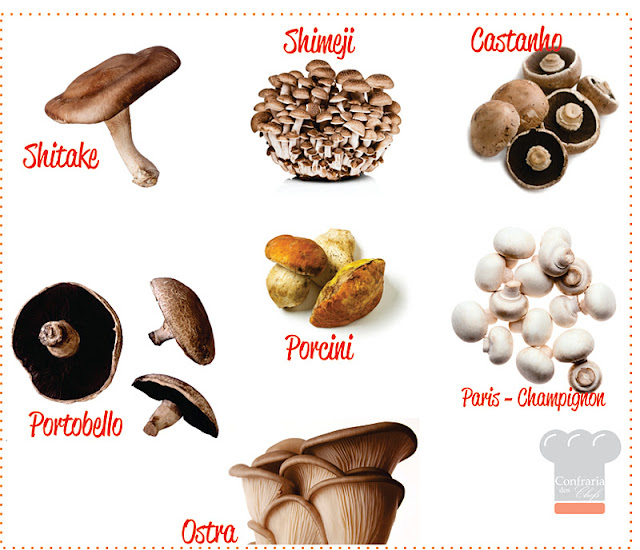 Tipos de Cogumelos