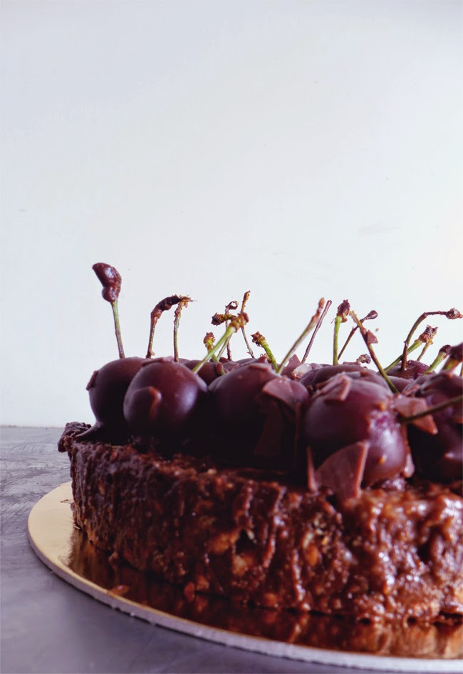 Bolo de chocolate e cerejas (sem forno)/ Chocolate and cherry cake (no-bake)