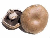 Cogumelos recheados