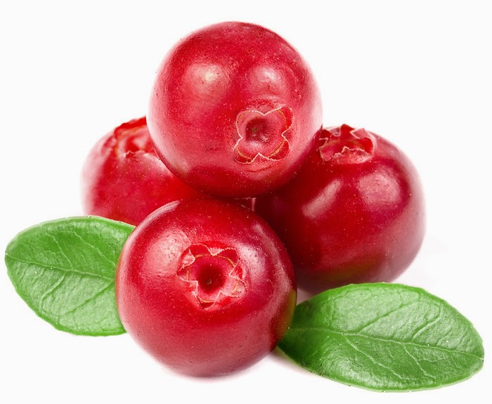 Segunda Saudável: Cranberry