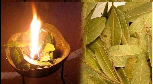 3 coisas que acontecem quando você queima folhas de louro desta forma em casa