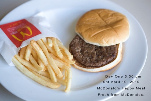 Sally Davies’ McDonalds Happy Meal Project – Conclusões Assustadores!