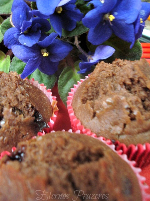 Muffins de Ovomaltine e o Bookcrossing Blogueiro