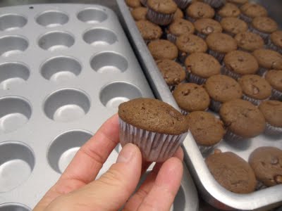 Mini muffin de chocolate, seus bastidores e Madame Aubergine