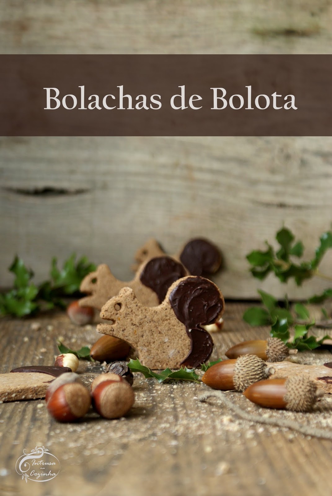 Bolachas de Bolota