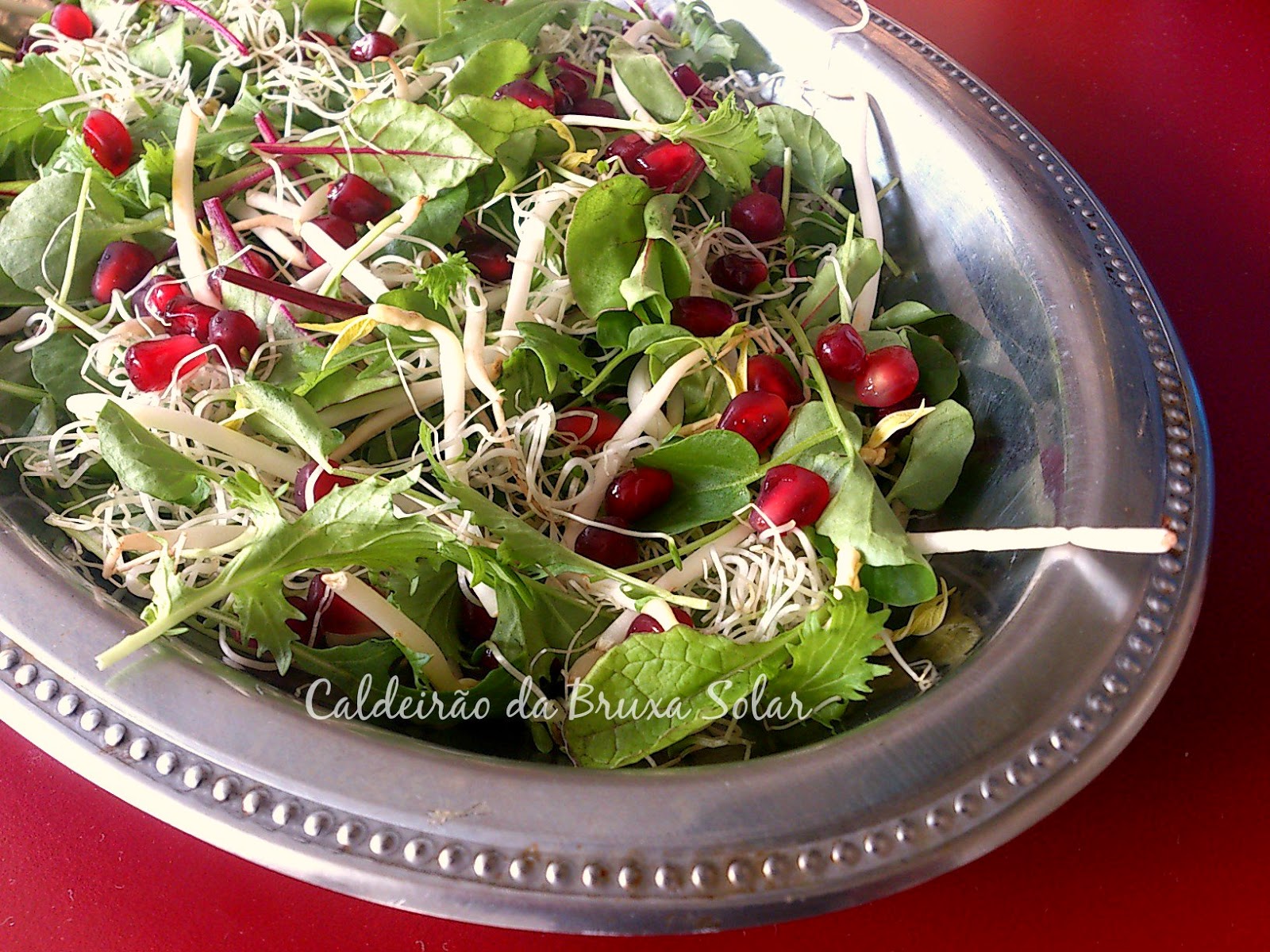 Salada de mini folhas, brotos e romã